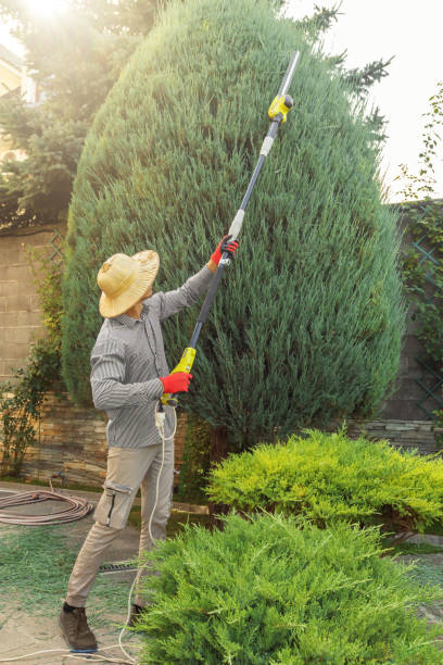 Best Weed Control Services  in Wild Peach Village, TX